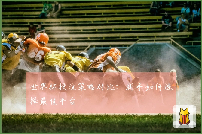 世界杯投注策略对比：新手如何选择最佳平台