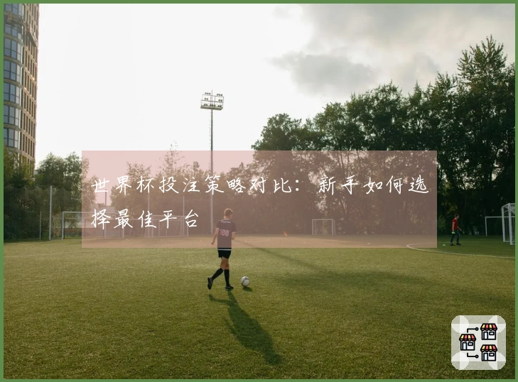 世界杯投注策略对比：新手如何选择最佳平台
