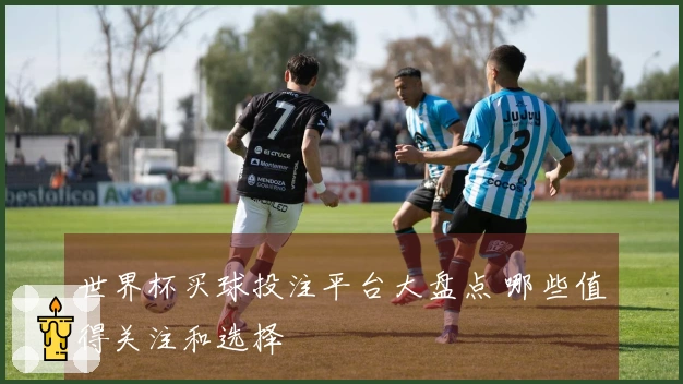 世界杯买球投注平台大盘点 哪些值得关注和选择