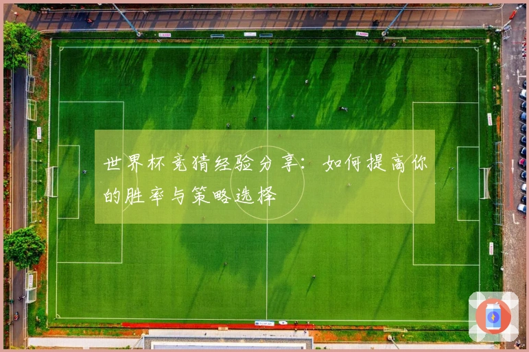 世界杯竞猜经验分享：如何提高你的胜率与策略选择