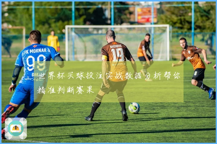 世界杯买球投注实战数据分析帮你精准判断赛果